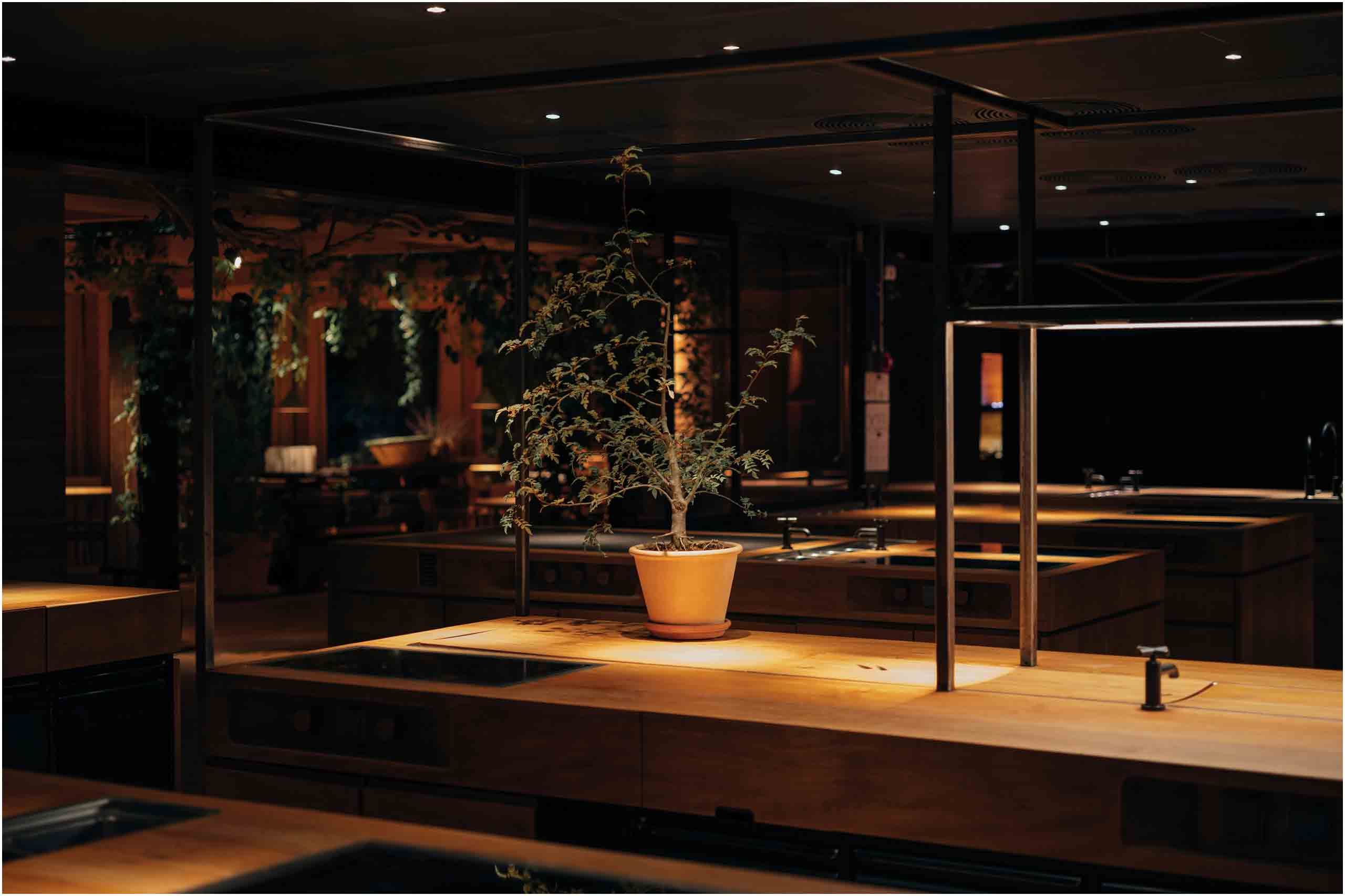 落ち着いた照明のカウンター席